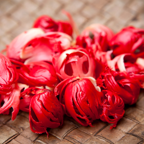 Shop Secondary Image Shop Secondary Image