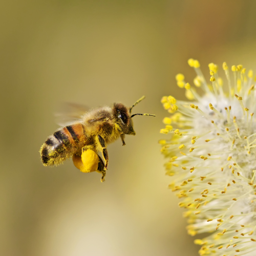 Shop Secondary Image Shop Secondary Image