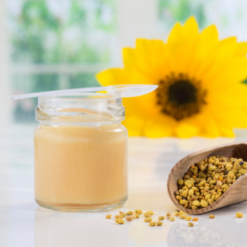 Shop Secondary Image Shop Secondary Image