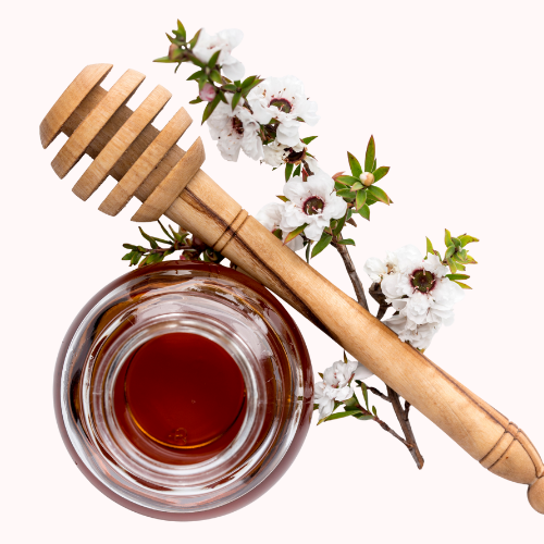 Shop Secondary Image Shop Secondary Image