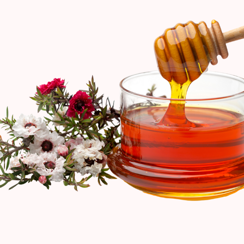 Shop Primary Image Shop Primary Image