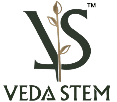 VEDASTEM