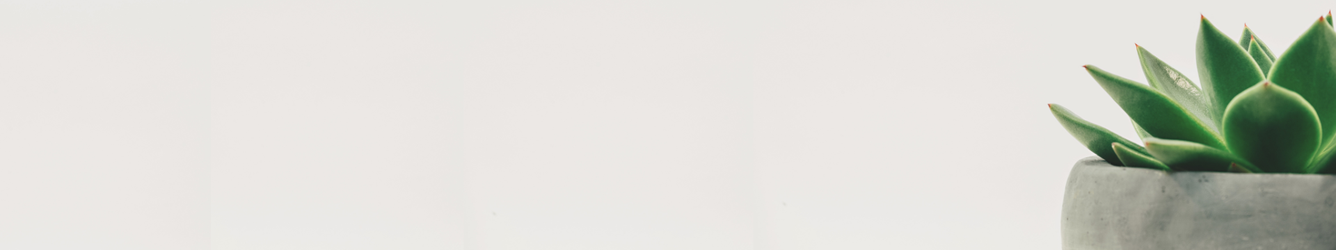 breadcrumb